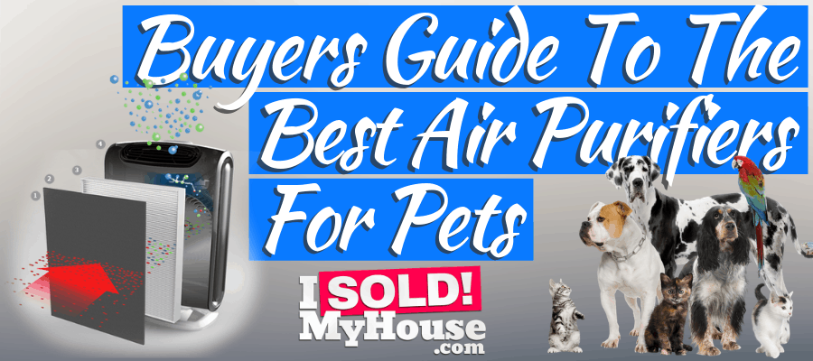 featured image for best air purifier for pets article